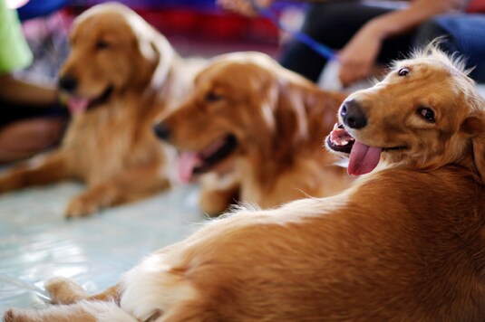 Image for representational purpose only. (Reuters)
