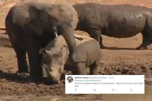 Video grab.
(Image credit: Twitter/ @susantananda3)
Video grab.
(Image credit: Twitter/ @susantananda3)
