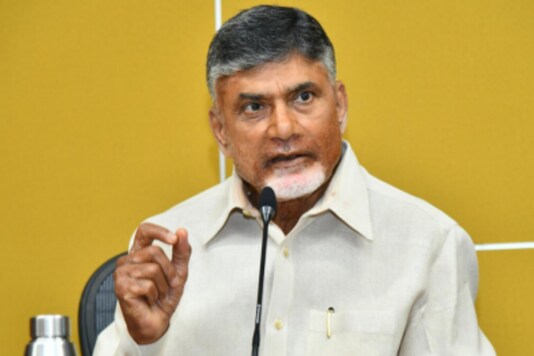 A file photo of TDP chief Chandrababu Naidu.