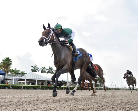 Jockey Irad Ortiz Jr. rides 5 winners at Saratoga