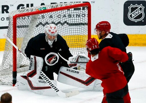 Coyotes banking on two goalies when season resumes