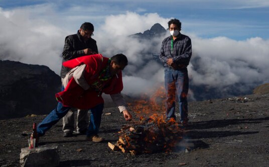 Bolivian coca cultivation jumped by 10% in 2019, UN says