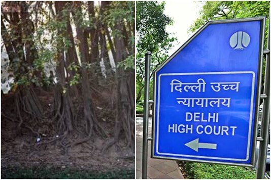 File photo of the Delhi High court.
