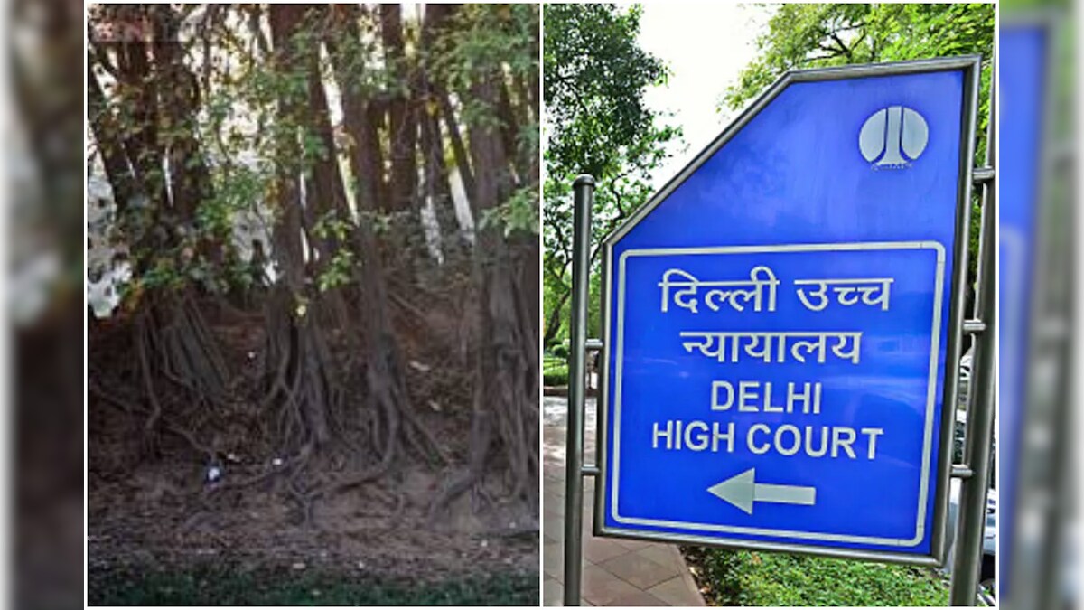 Delhi HC Stays CIC Orders to Disclose Details of Release, Utilisation of MPLADS Fund