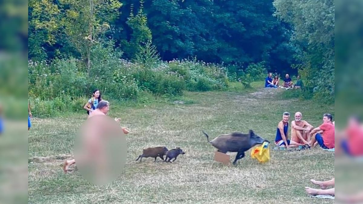 Sunbathing German Nudist Runs the 'Naked Mile' to Chase Boar That Stole His Laptop