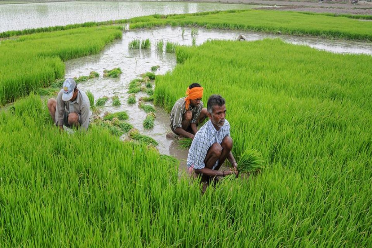 Centre Releases Rs 553 Crore to States for Agricultural Mechanization