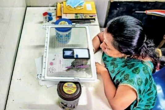 Teacher seen solving sum with her smartphone placed on fridge tray.