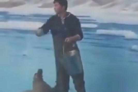 Video of Seal Constantly Tapping Man39s Foot for Food