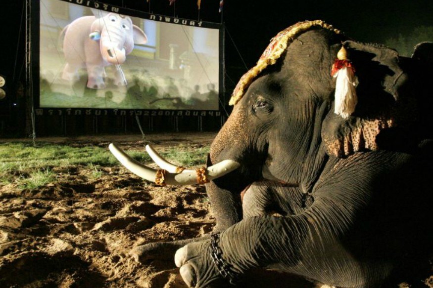 World Elephant Day 2020: Pictures of Jumbo Doing Human Things - News18