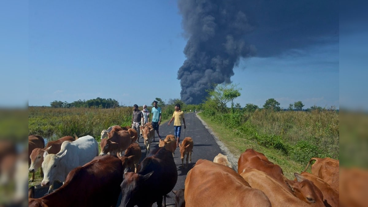 'It is a Village Ruined': How Baghjan Oil Well Blowout Singed Fields, Fish and Livelihoods