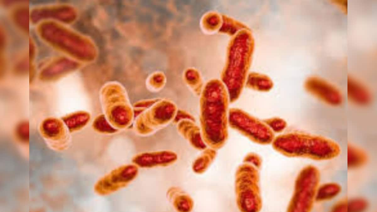 Thousands in China Test Positive for a Bacterial Infection That Can Leave Men Infertile