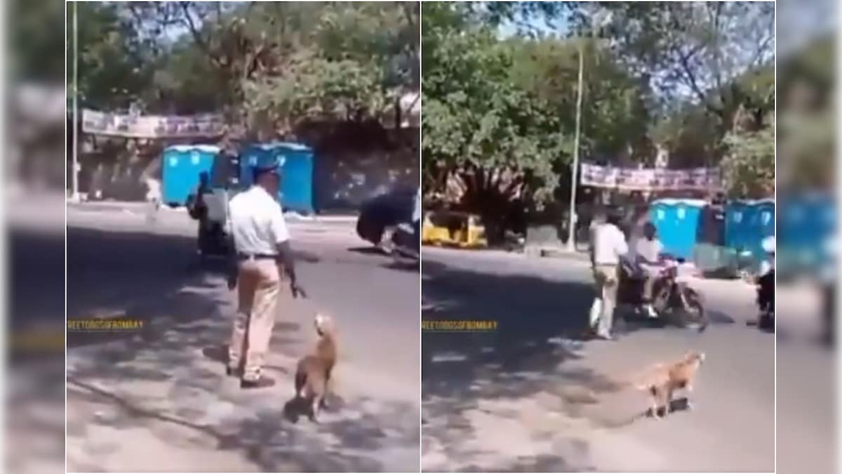 'Humanity First': Viral Video Shows Traffic Cop Stop Cars to Help Dog Cross a Busy Road