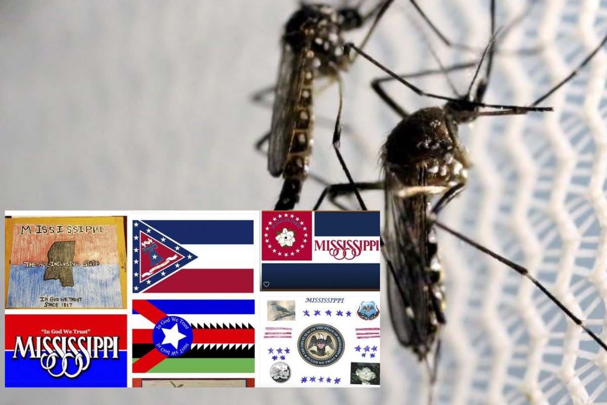 US Man Proposes Giant Mosquito to be Put on New Mississippi Flag ...