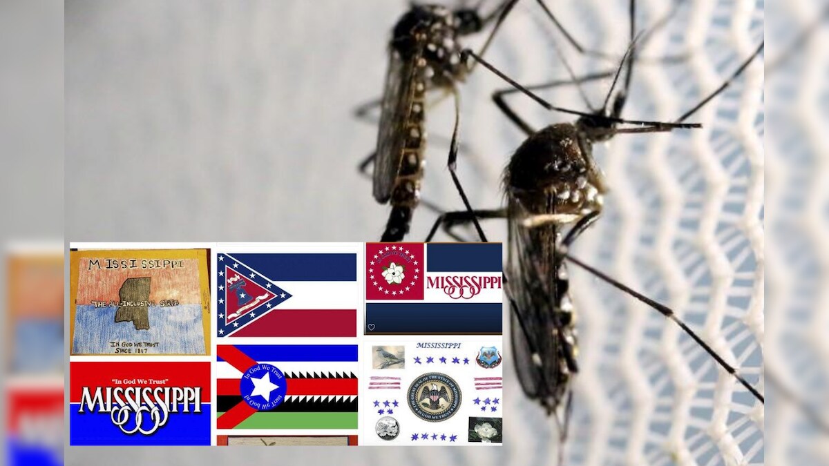 US Man Proposes Giant Mosquito to be Put on New Mississippi Flag, Residents Amused