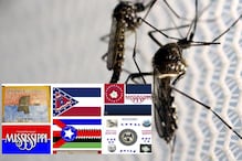 US Man Proposes Giant Mosquito to be Put on New Mississippi Flag, Residents Amused