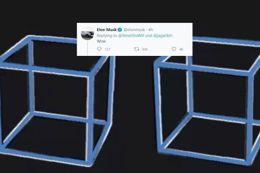 Video grab of optical illusion of cubes.
(Image credit: Twitter/Steve Stewart-Williams)