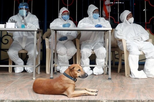 A dog lies down in front of health workers in personal protective equipment (PPE), as they wait for people during a check up campaign for the coronavirus disease (COVID-19) in Mumbai. (Reuters)