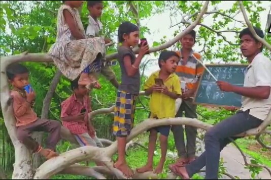 Teacher and students climb tree in Maharashtra to get internet connection. 
(Credit: ANI)