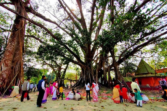 Devotees worhiping near the banyan tree in Bajali. (News18)