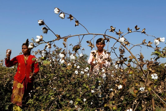 Representative image/ REUTERS