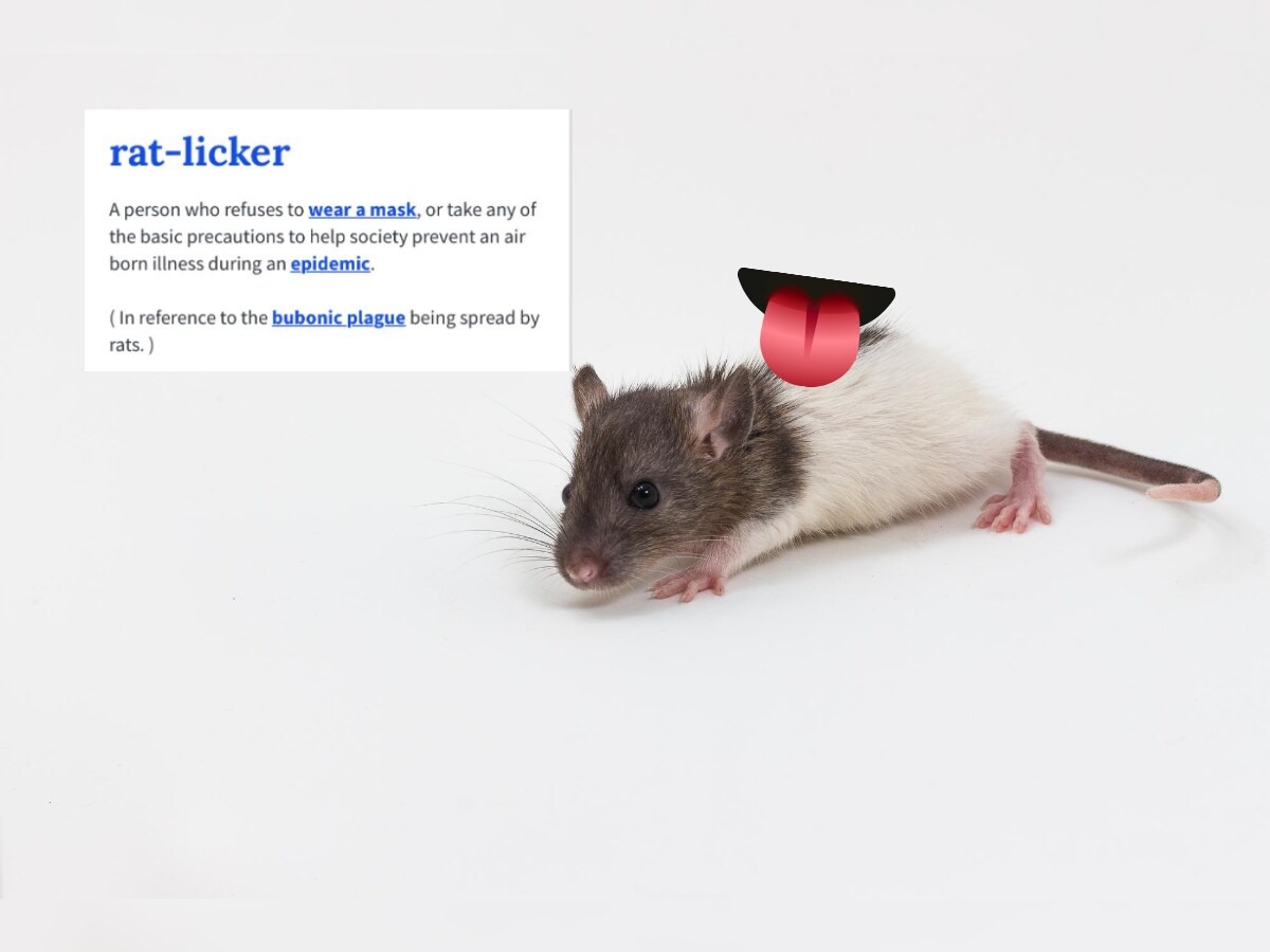 Rat Licker The New Term For Covidiots Has A Reference To The Bubonic Plague