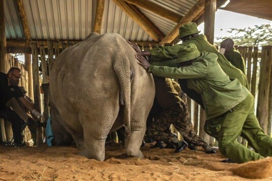 Photo: Associated Press