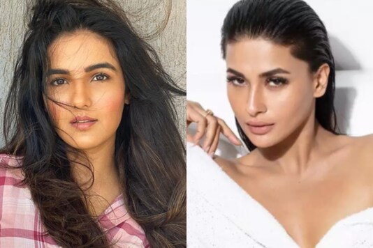 Bigg Boss 14: Jasmin Bhasin, Pavitra Punia Confirmed as Participants?