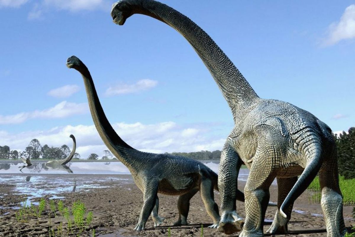 Dinosaurs' Fossil Embryo 'Small Giant' Reveals Surprising Details of Species - News18