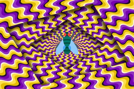 Scientists Explain How Flies are Also Deceived by Optical Illusions ...