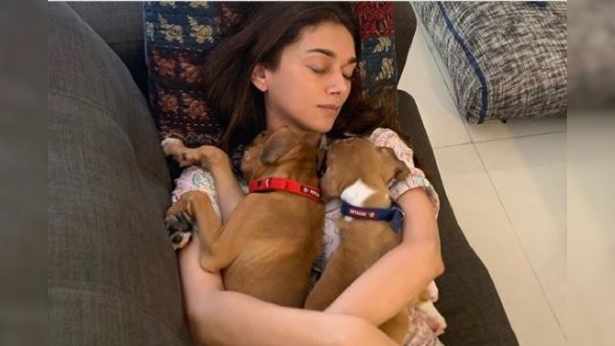 Aditi Rao Hydari’s Major Missing Post Has Her Cuddling Close With Her Pups