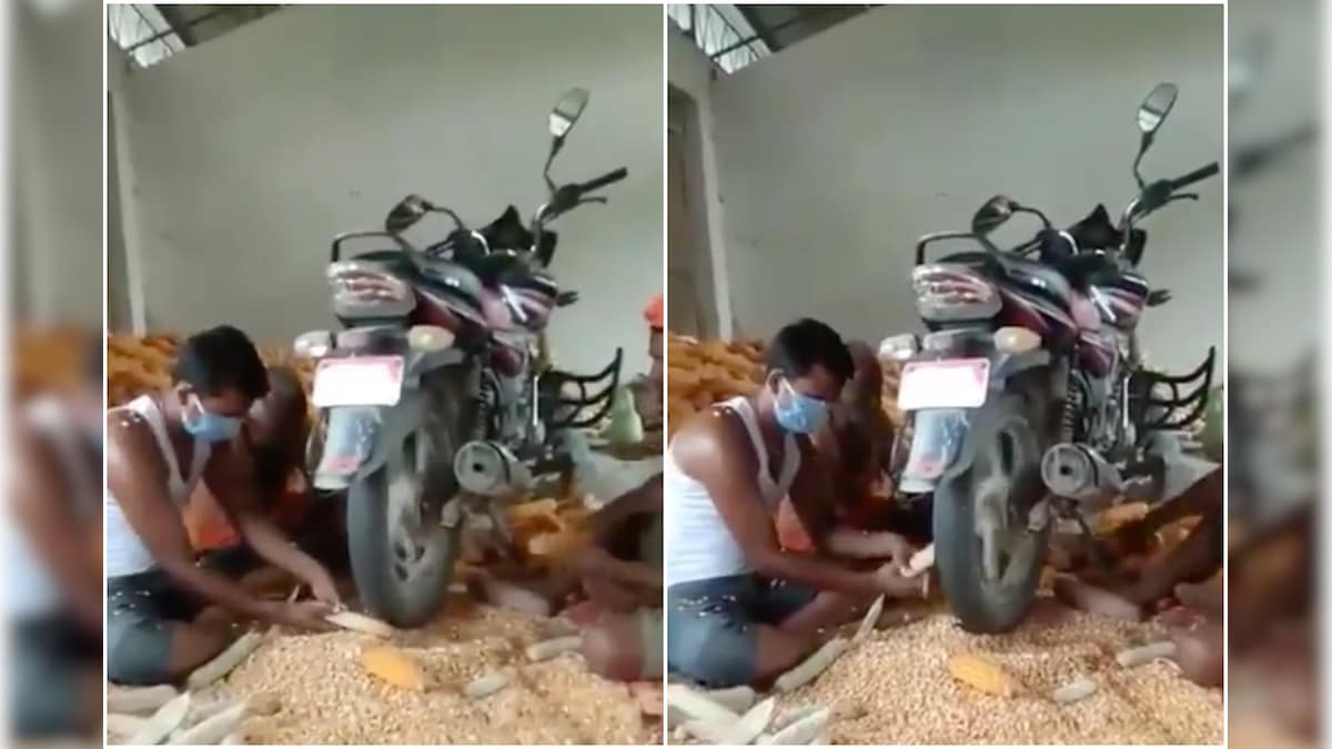 Anand Mahindra Impressed by Video of Bike Being Used to Separate Corn from Kernel, Twitter Divided