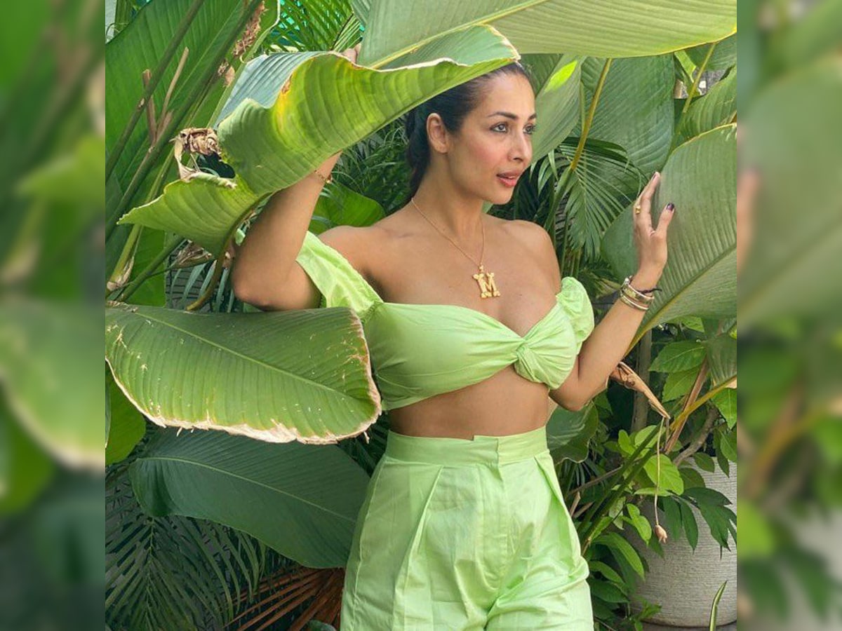 Sonam Kapur Xxxx Hot Sexy - This Pic of Malaika Arora on Insta Draws Hilarious Comments; Check It Out!