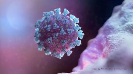 WHO says China team interviewed Wuhan scientists over virus origins