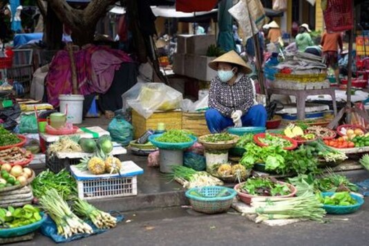 World food price index rises for second month in July World food price index rises for second month in July