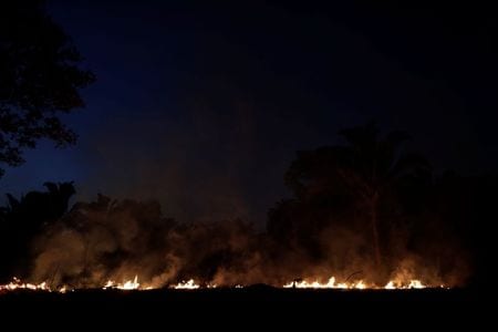 Amazon fires rage in early August as fears of mass blazes mount