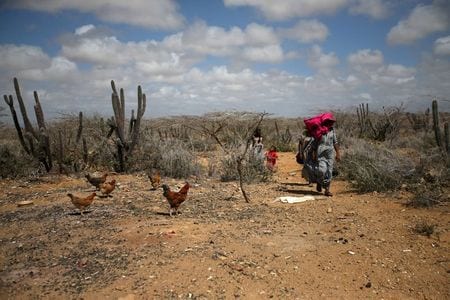 Coronavirus making it harder for Colombia's indigenous Wayuu to survive - HRW