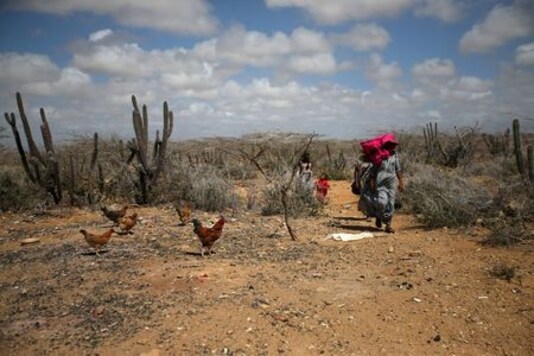 Coronavirus making it harder for Colombia's indigenous Wayuu to survive, report finds