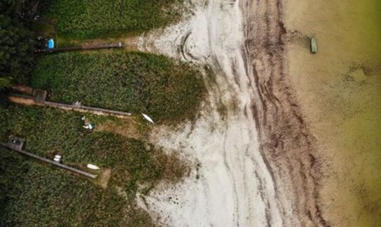 Drying Brandenburg lake is symbol of climate change, say scientists