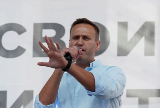 Factbox: Who is Kremlin critic Alexei Navalny?