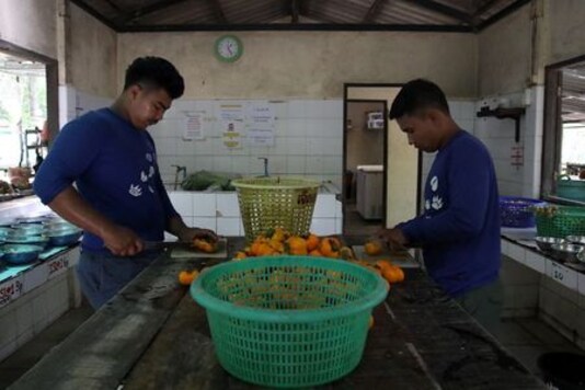 Thai Refuge Warns Of Growing Risks To Animals As Pandemic Bites
