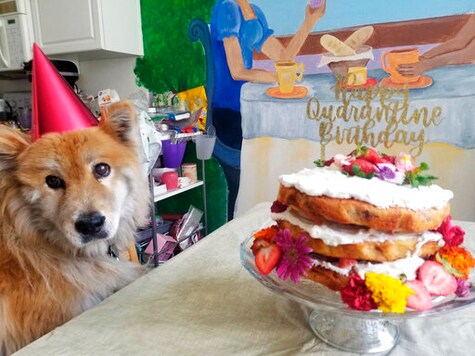VIRUS DIARY: She Has Her Cake, But Others Can't Eat It, Too