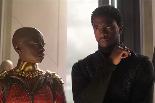 Danai Gurira Remembers Chadwick Boseman, Asks 'How Do You Honour A King?'