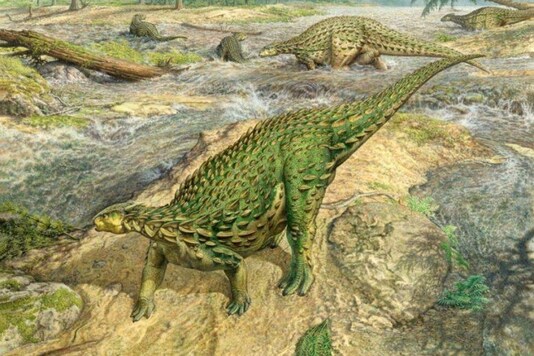 A life reconstruction of the Jurassic Period dinosaur Scelidosaurus, which lived roughly 193 million years ago, is seen in this artist's rendition released by the University of Cambridge on August 27, 2020. via REUTERS



