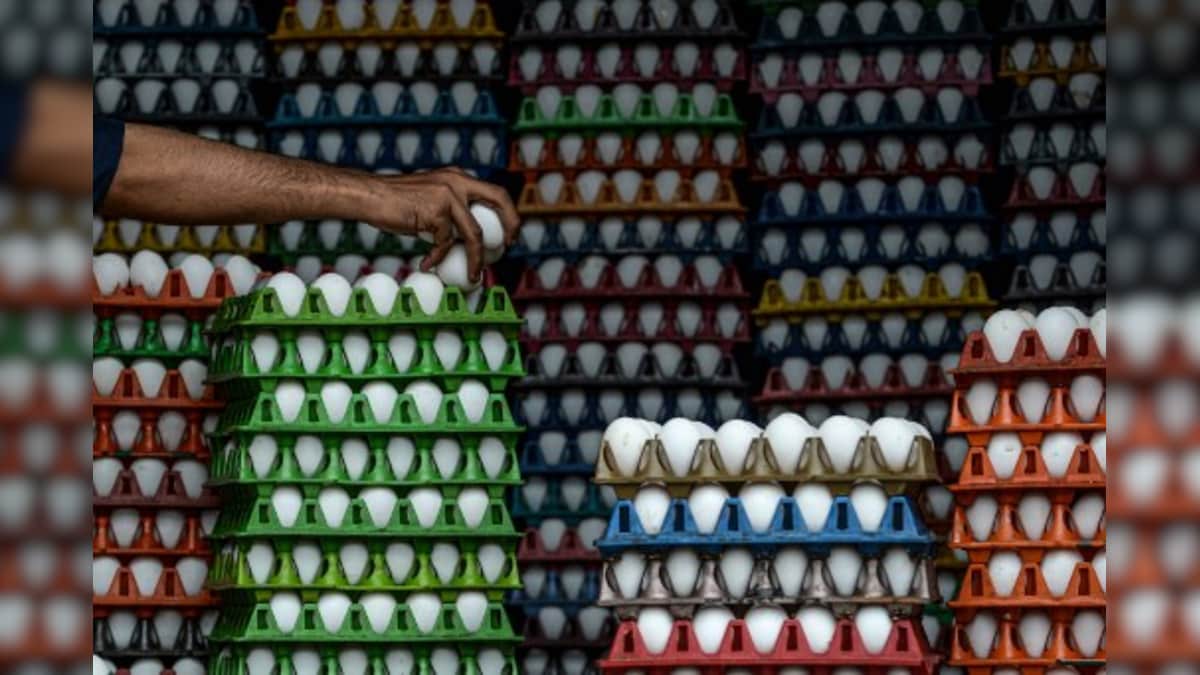 10 High Protein Foodsother Than Eggs