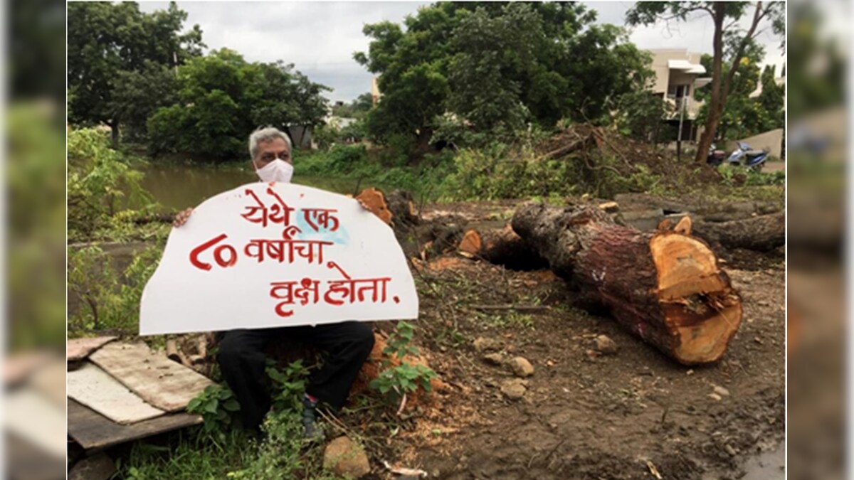 ​Rooted in History: Gandhi Kin Urge Govt 'With Folded Hands' to Stop Felling of Trees Near Sevagram Ashram