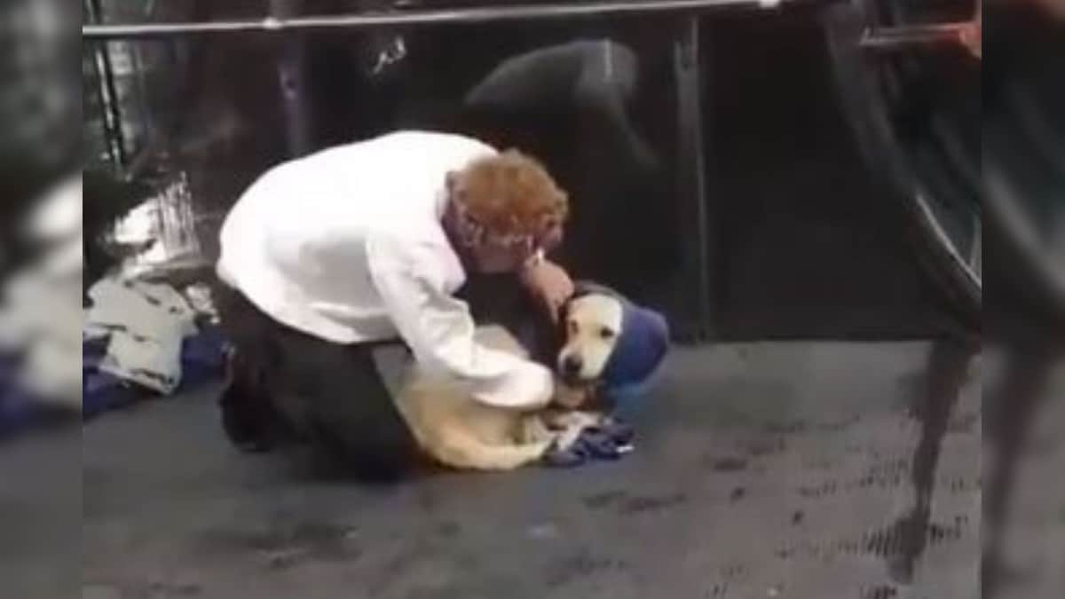 Watch: Man Covers Dog Shivering in the Cold With His Own Vest, Restores Our Faith in Humanity