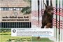 IIT Delhi Clears Air after Facing Flak for Job Ad Seeking Dog Handler with B.Tech Degree and Car
