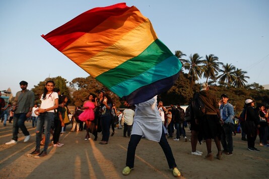 File photo of  participant waving a flag during Queer Azadi Pride, an event promoting gay, lesbian, bisexual and transgender rights, in Mumbai. (REUTERS)