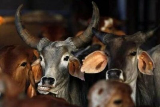 Representational Picture.
(Reuters)