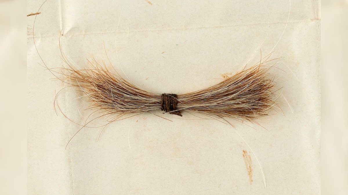 Lock of Abraham Lincoln's Hair Along With Blood-stained Telegram Sold for $81,000 at Auction